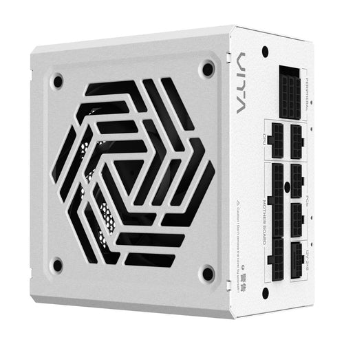 FSP VITA GM  1000W ATX 3.1 White Full Modular 80 Plus Gold Power Supply