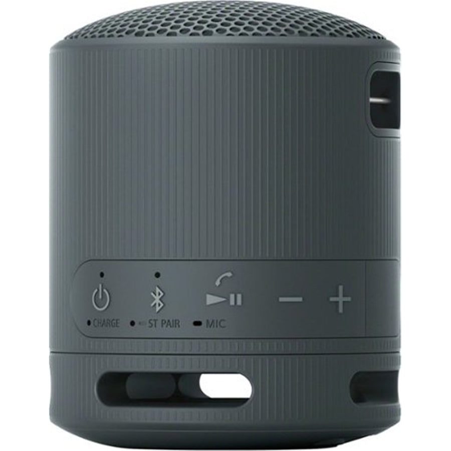Sony  SRS-XB100 Wireless Portable Bluetooth Speaker - Black