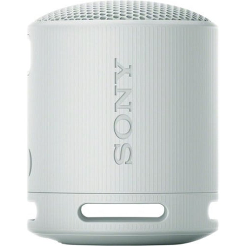 Sony SRSXB100H Wireless Speaker Grey
