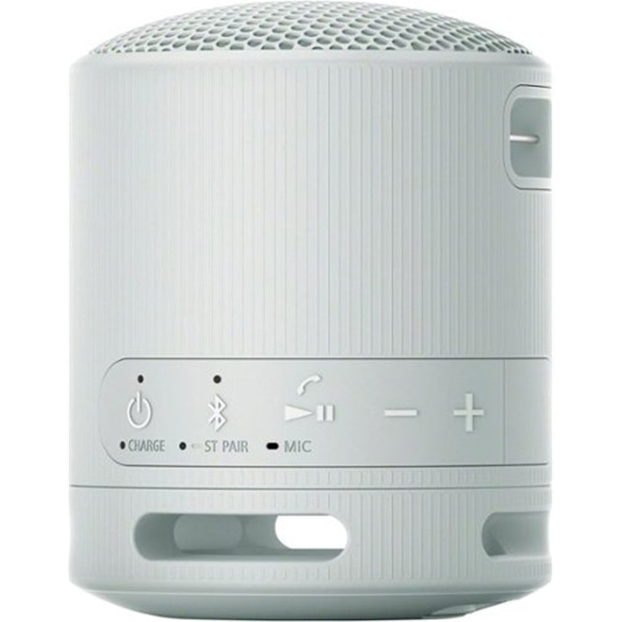 Sony SRSXB100H Wireless Speaker Grey