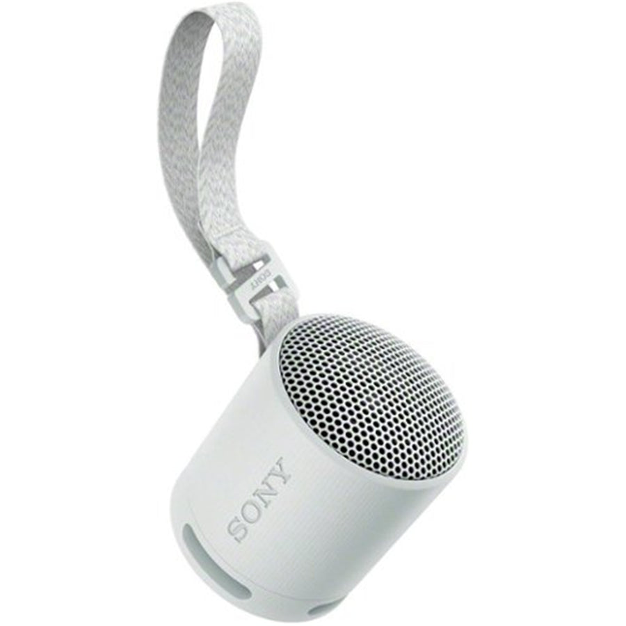 Sony SRSXB100H Wireless Speaker Grey