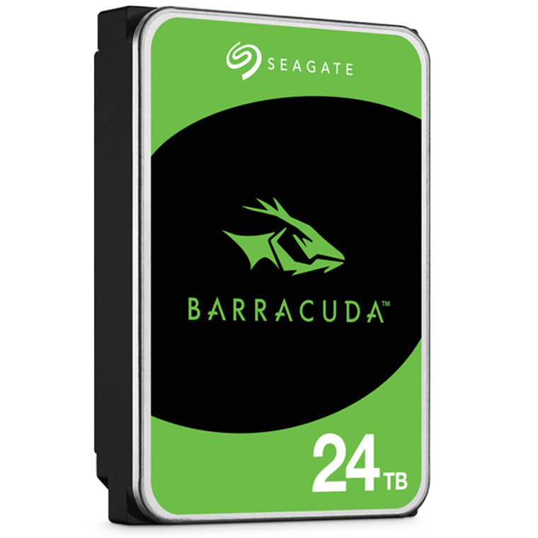 Seagate ST24000DM001