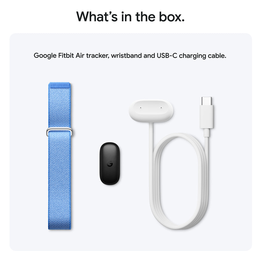 Google Fitbit Air  Fitness Tracker - Lavender