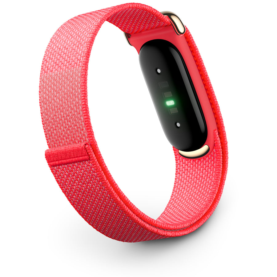 Google Fitbit Air  Fitness Tracker - Berry