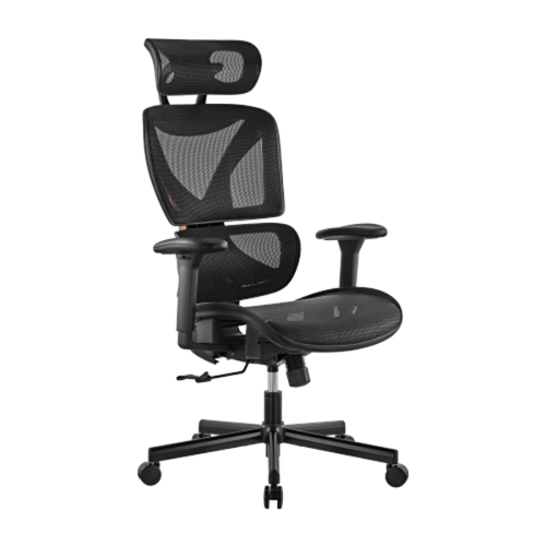 CH05-31 - BRATECK CH05-31 - SpineX Ergonomic Office Chair w/ Posture Enhancement