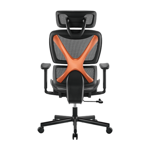 CH05-31 - BRATECK CH05-31 - SpineX Ergonomic Office Chair w/ Posture Enhancement