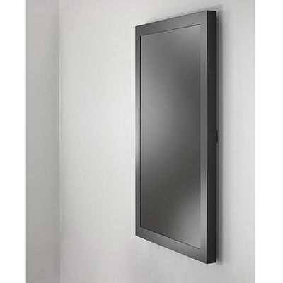 Chief LW55UBPG On-Wall Kiosk Protective Glass