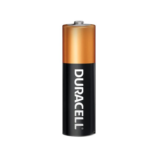DURACELL DURGT1500 - Coppertop AA Alkaline Battery Box of 24