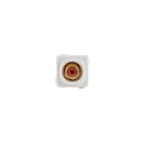 AMDEX FP-RCAF-RE - Red RCA to F Connector. Gold Plated