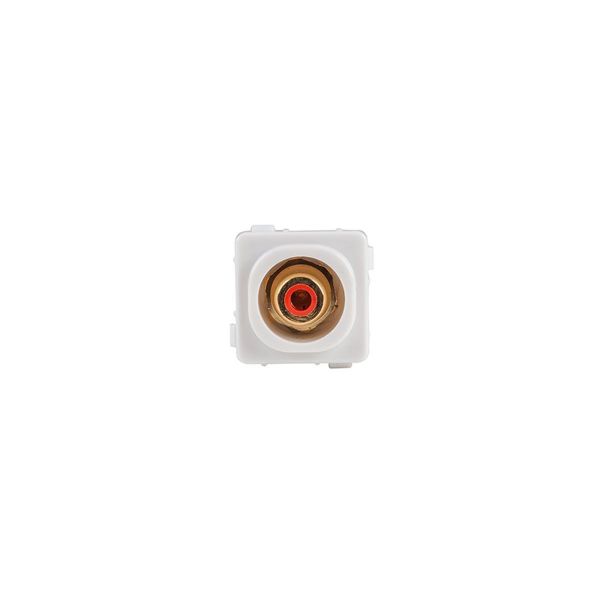 AMDEX FP-RCAF-RE - Red RCA to F Connector. Gold Plated