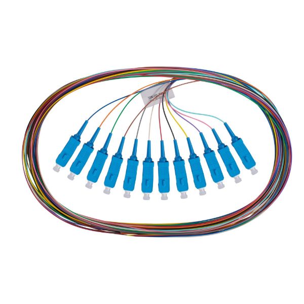 DYNAMIX FPT-OS1SC-12 - 2M SC Pigtail G657A1 12 Pk Colour Coded 900um SM Fibre Tight Buffer LSZH Jacket