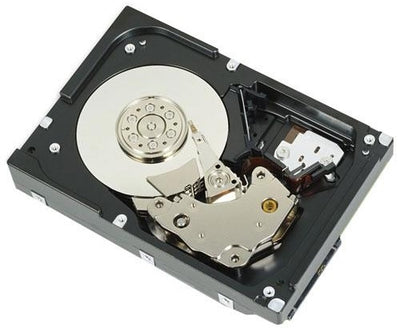 400-19731 - Dell 300Gb SAS 6G 15K LFF DP HDD Bare Drive - DPN