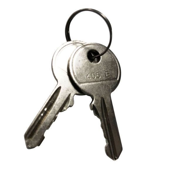 DYNAMIX RODWKEY - Replacement Key For RODW series Outdoor Wall Mount Cabinets.